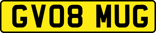 GV08MUG