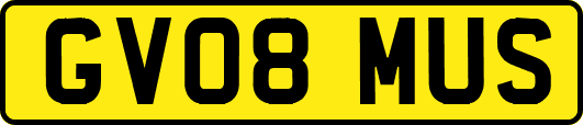 GV08MUS
