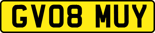 GV08MUY