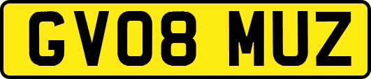 GV08MUZ