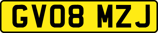 GV08MZJ