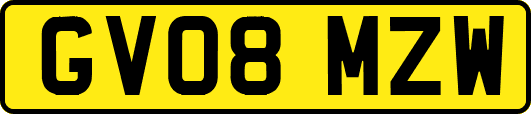 GV08MZW