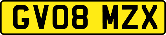 GV08MZX