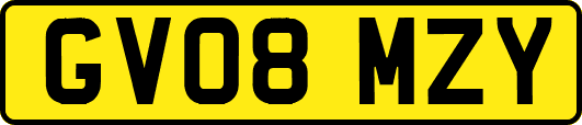 GV08MZY