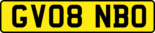 GV08NBO