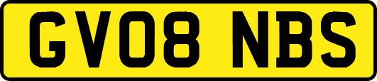 GV08NBS
