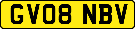 GV08NBV