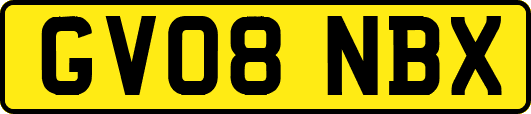 GV08NBX