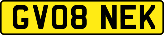 GV08NEK