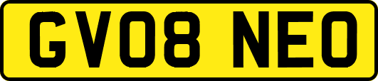 GV08NEO