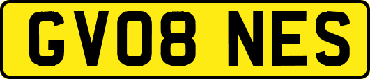 GV08NES