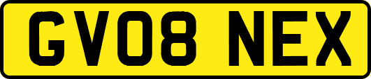 GV08NEX