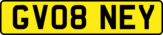 GV08NEY