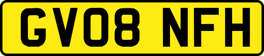 GV08NFH