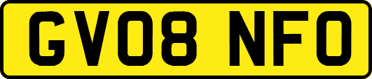 GV08NFO