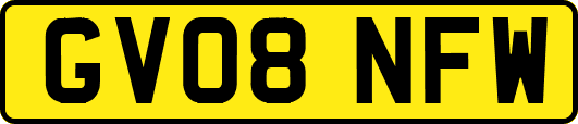 GV08NFW
