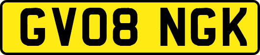 GV08NGK