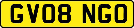 GV08NGO