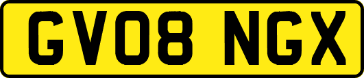 GV08NGX