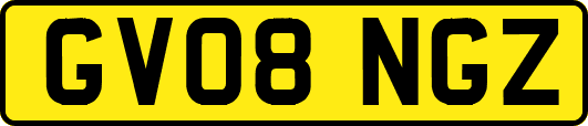 GV08NGZ