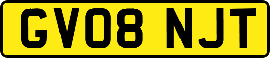 GV08NJT