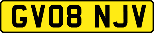 GV08NJV