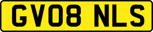 GV08NLS