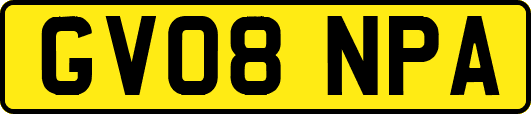 GV08NPA