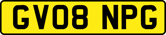 GV08NPG