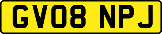 GV08NPJ