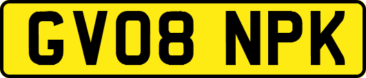 GV08NPK
