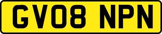 GV08NPN