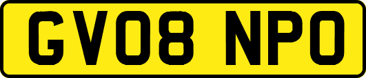 GV08NPO