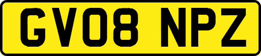 GV08NPZ
