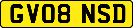 GV08NSD