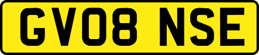 GV08NSE
