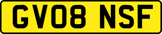 GV08NSF