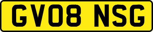 GV08NSG