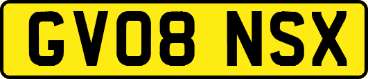 GV08NSX