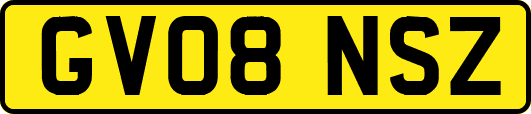 GV08NSZ