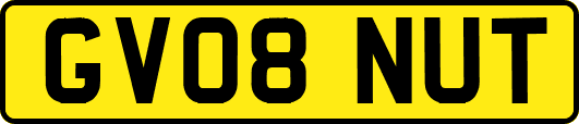 GV08NUT
