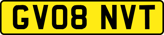 GV08NVT