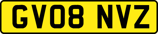 GV08NVZ