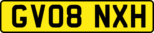 GV08NXH