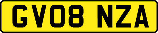 GV08NZA