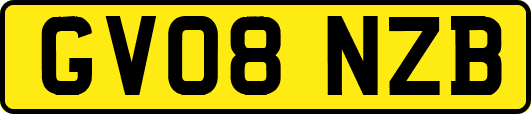 GV08NZB