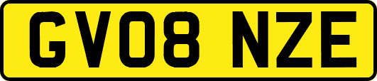 GV08NZE
