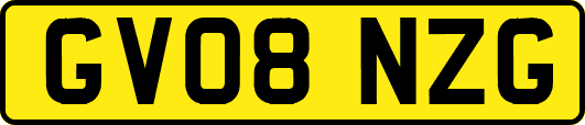 GV08NZG