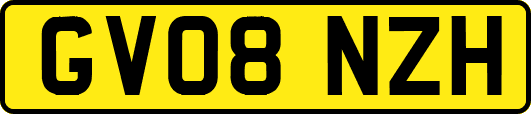 GV08NZH
