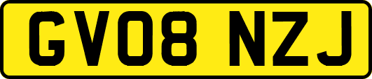GV08NZJ